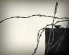 Don't Touch - Artwork and Photography by Sandy Frey