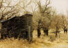 The Test of Time - Artwork and Photography by Sandy Frey