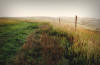 Country Greetings - Artwork and Photography by Sandy Frey
