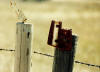It's All About the Rain - Artwork and Photography by Sandy Frey