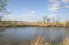 Reflections in the Pond - Artwork and Photography by Sandy Frey