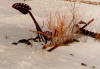 I Remember When - Artwork and Photography by Sandy Frey