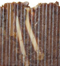 Peppercorn Handcrafted Soap by Nebraska Sunset