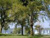 Peaceful Day at Branched Oak Lake - Artwork and Photography by Sandy Frey