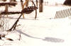 Shadows in the Snow - Artwork and Photography by Sandy Frey