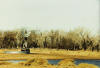 Sandhills Water - Artwork and Photography by Sandy Frey