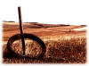 Barbed Wire - Artwork and Photography by Sandy Frey